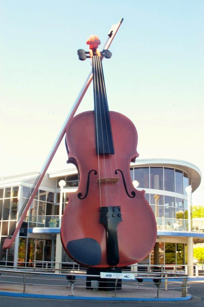 largest violin