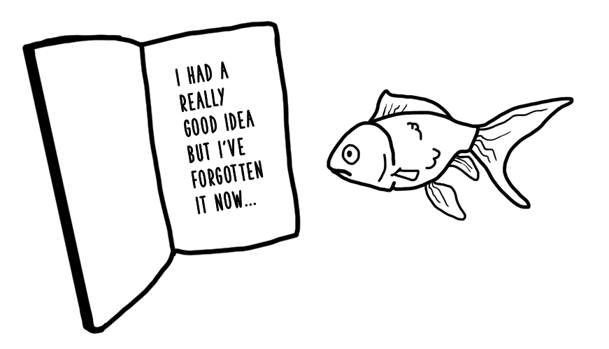 Holiday blog Fish